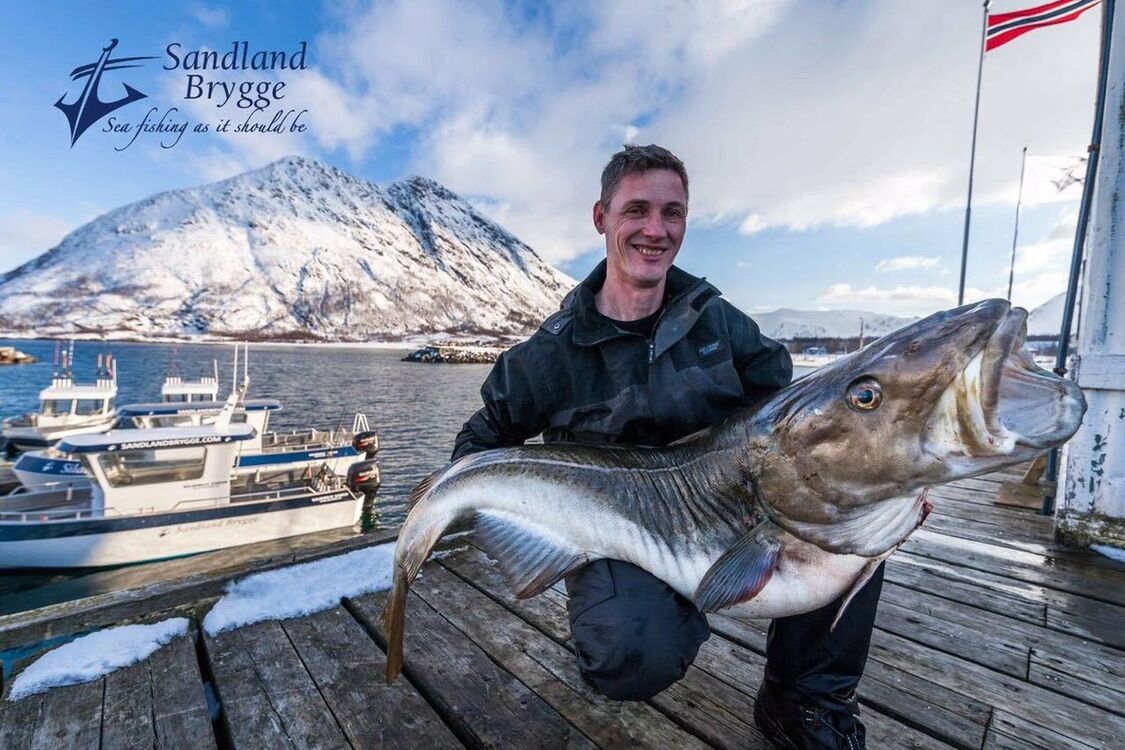 ���� 17559571 ������� ALEX, 55 ���, ���� ���������� � ������� ���������