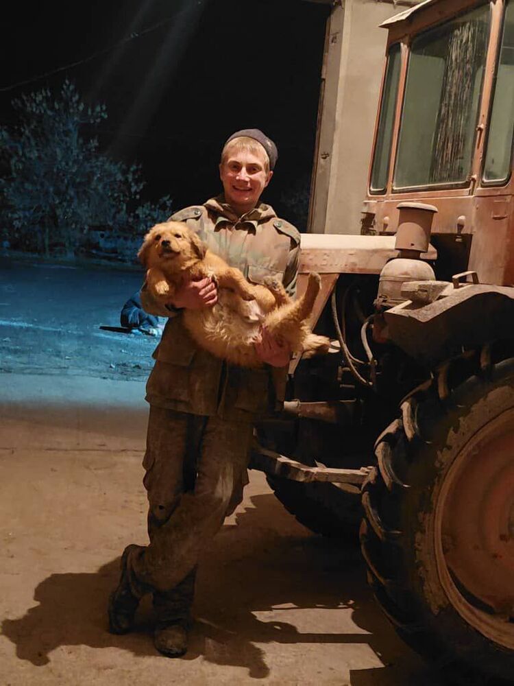 ���� 55618901 ����� ��������, 19 ���, ���� ���������� � �������