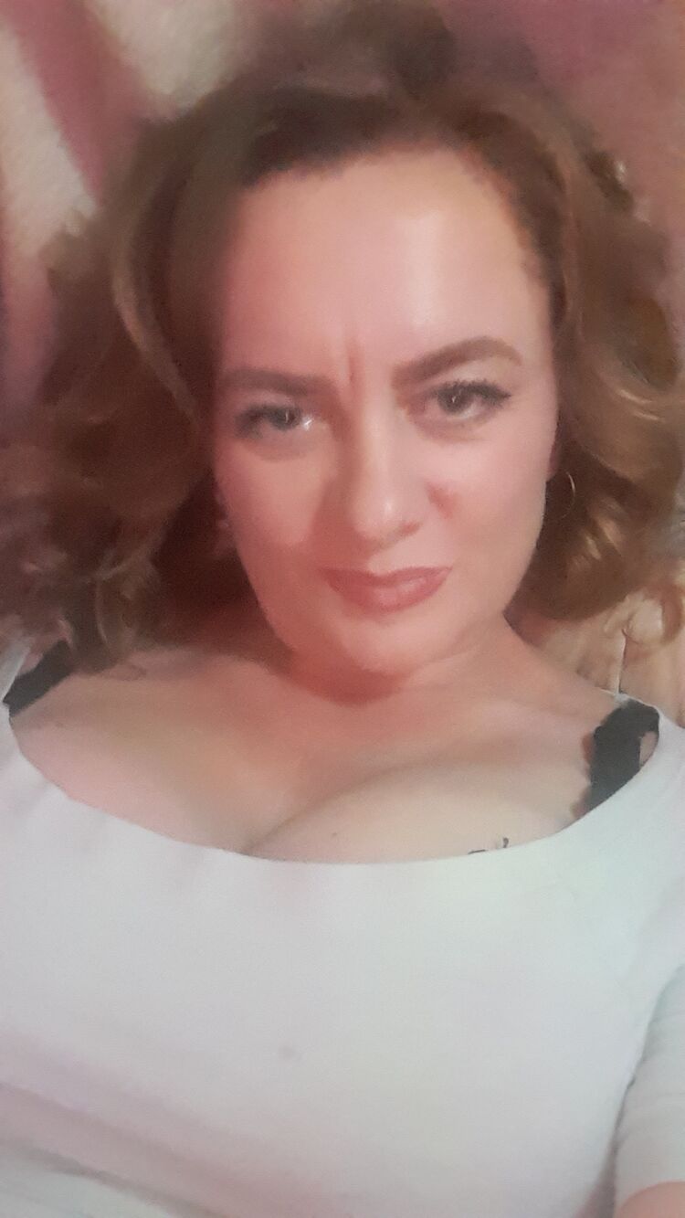  33415561  , 44 ,    