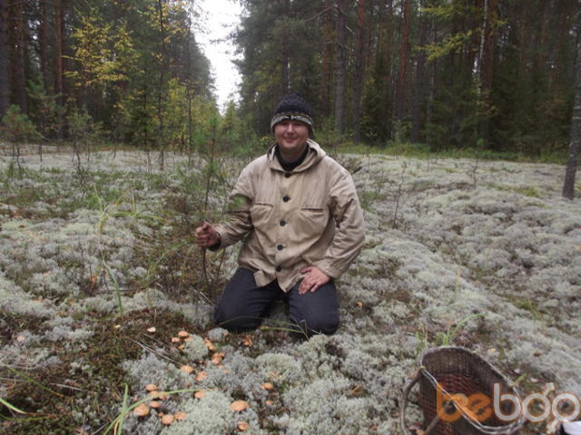 ���� 1176761 ������� Pistonmaxx, 48 ���, ���� ���������� � ������