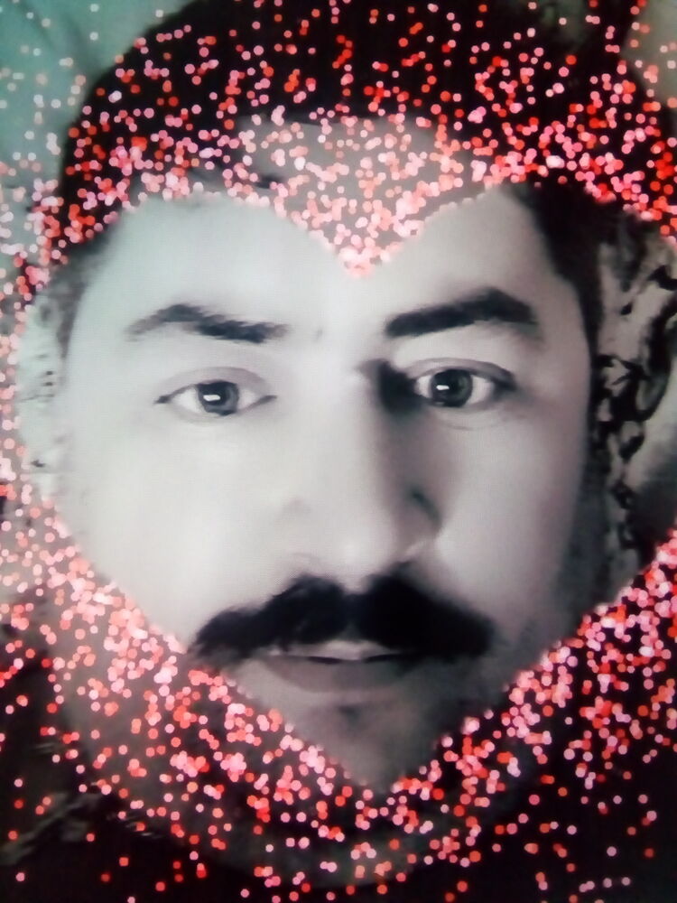  33294151  , 49 ,    