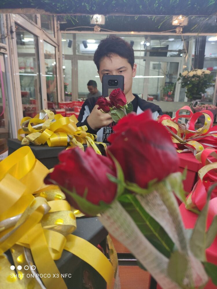 ���� 23238161 ����� �����, 23 ����, ���� ���������� � ��������