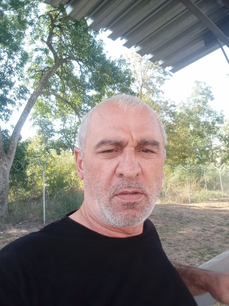  53101161  , 50 ,    