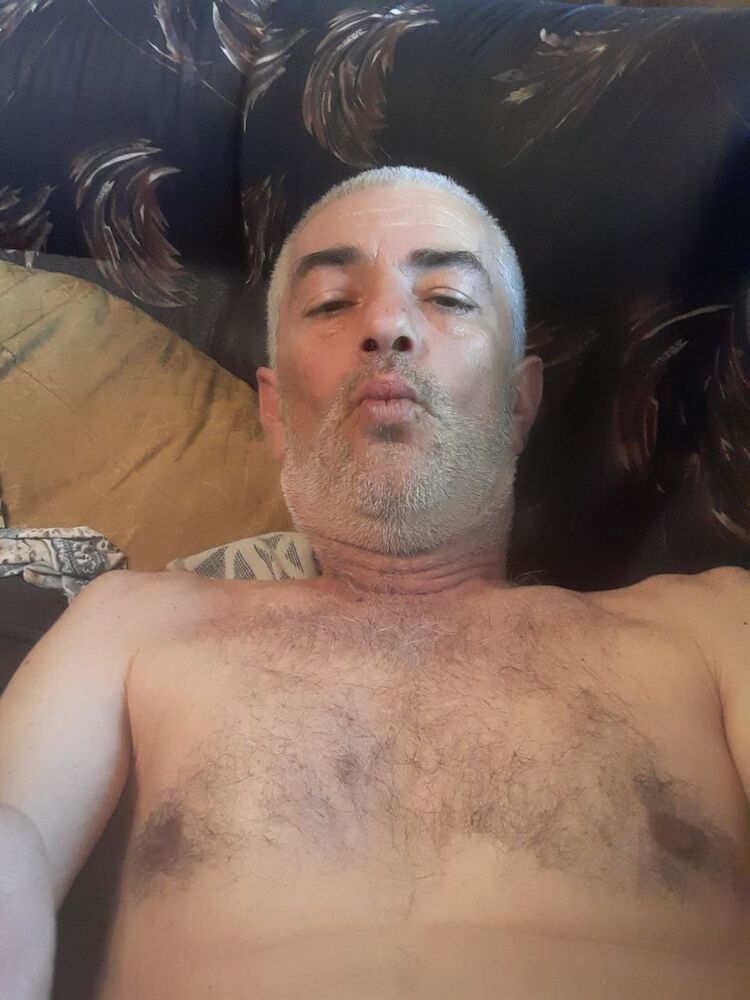  24504411  , 54 ,    