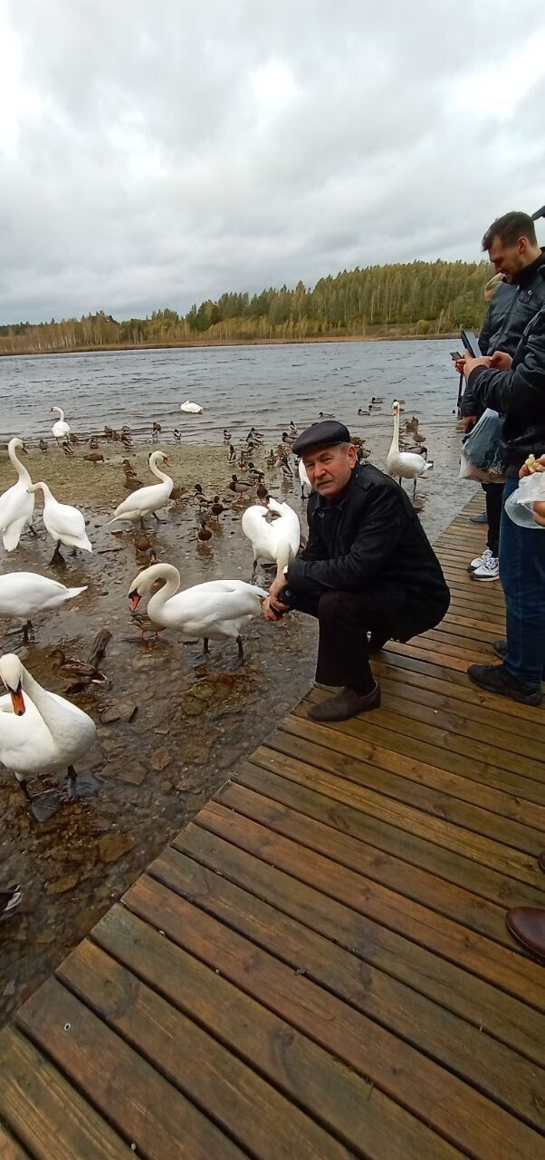 ���������� �����-���������, ���� ������� �������, 73 ����, ������������ ��� ������, ����� � ���������