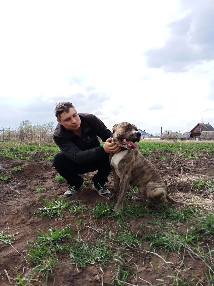 ���� 42482101 ������� �������, 35 ���, ���� ���������� � ���