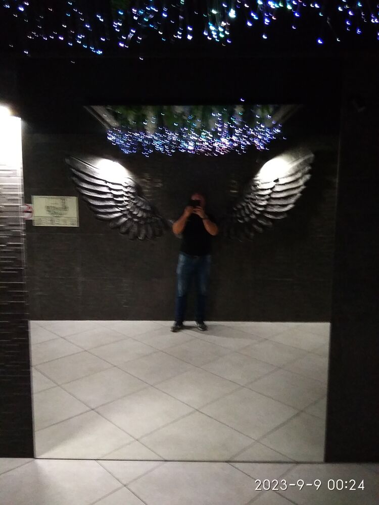  37882061  , 45 ,    