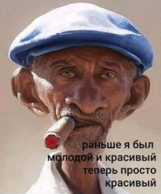 ���� 53938611 ������� �����, 49 ���, ���� ���������� � ���������