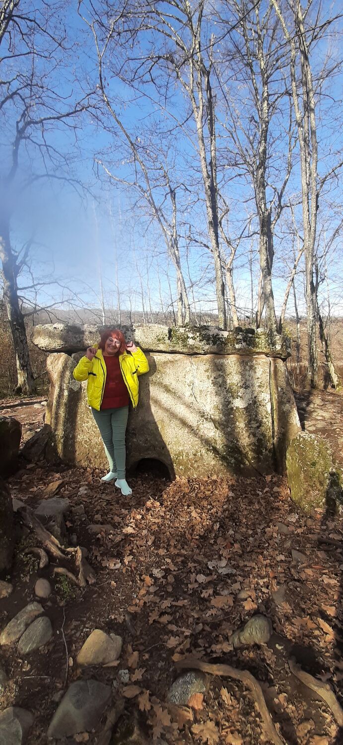 ���������� �����������, ���� ������� ��������, 66 ���, ������������ 