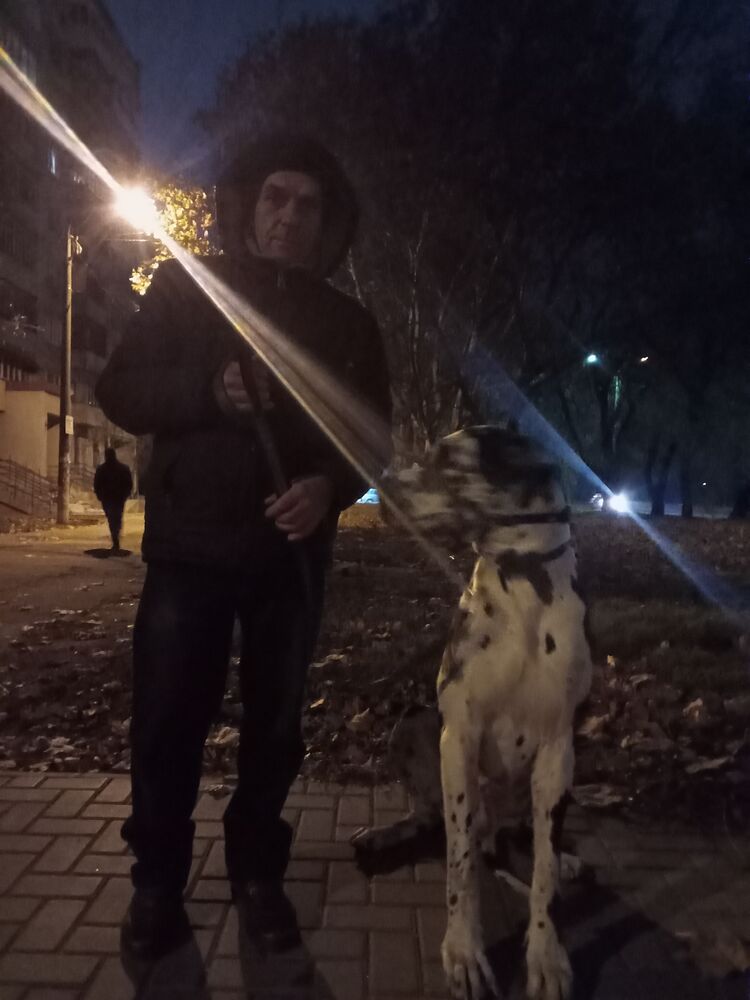  24415291  , 51 ,    