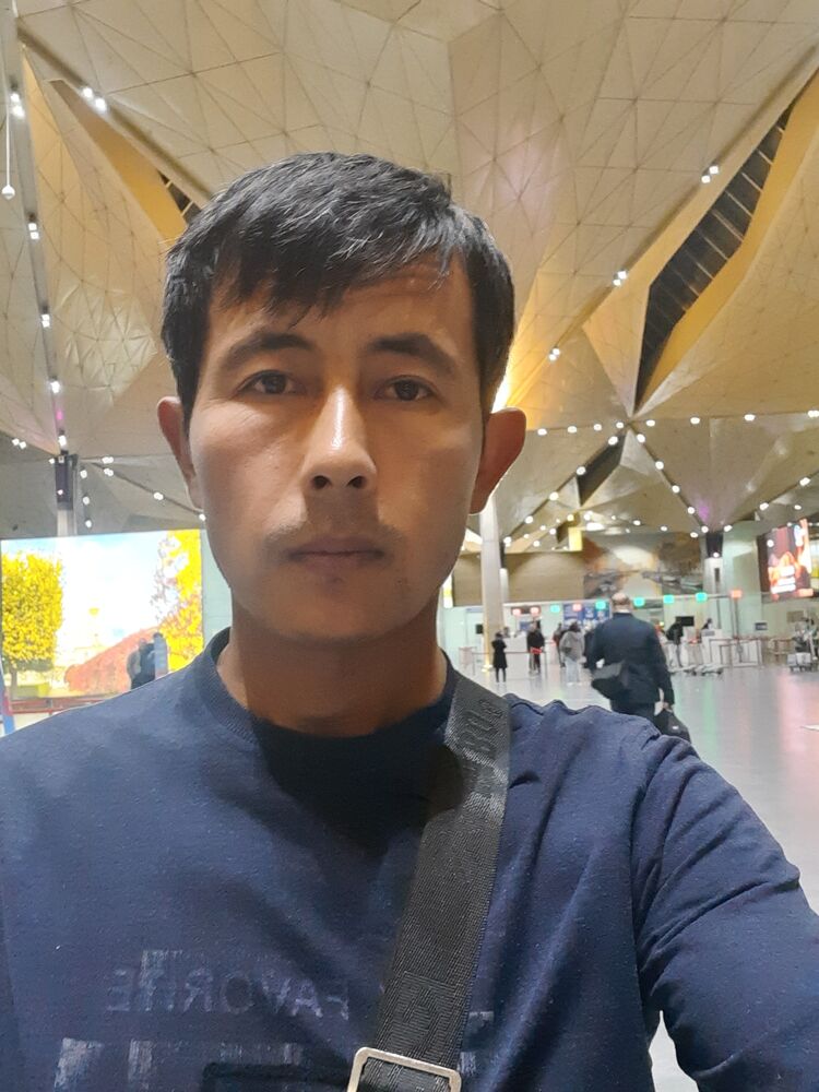  33371831  , 38 ,    