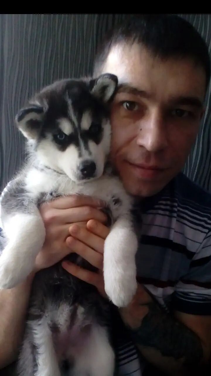 ���� 43602301 ������� ������, 37 ���, ���� ���������� � �����