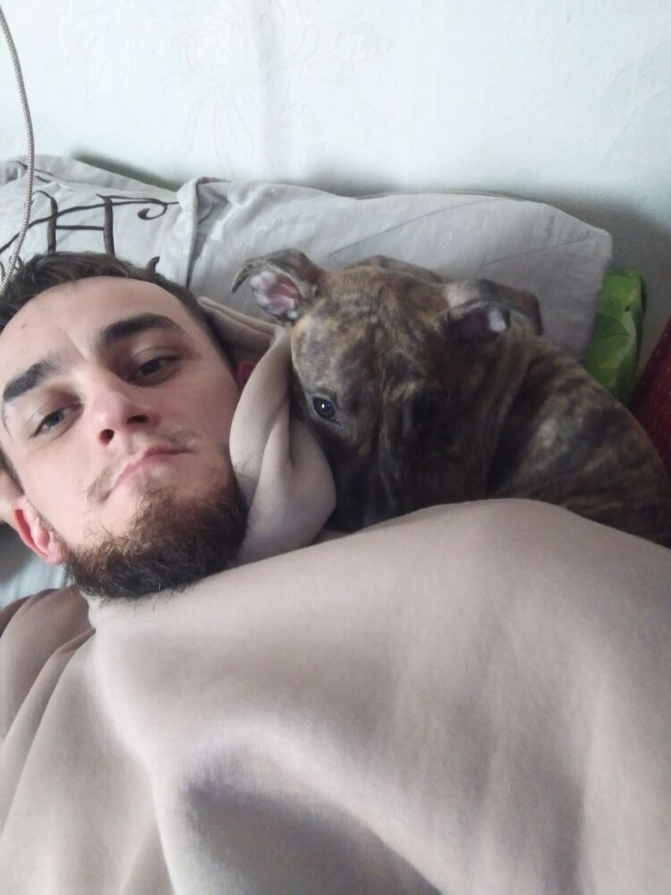  31283721  Dmitry, 32 ,    