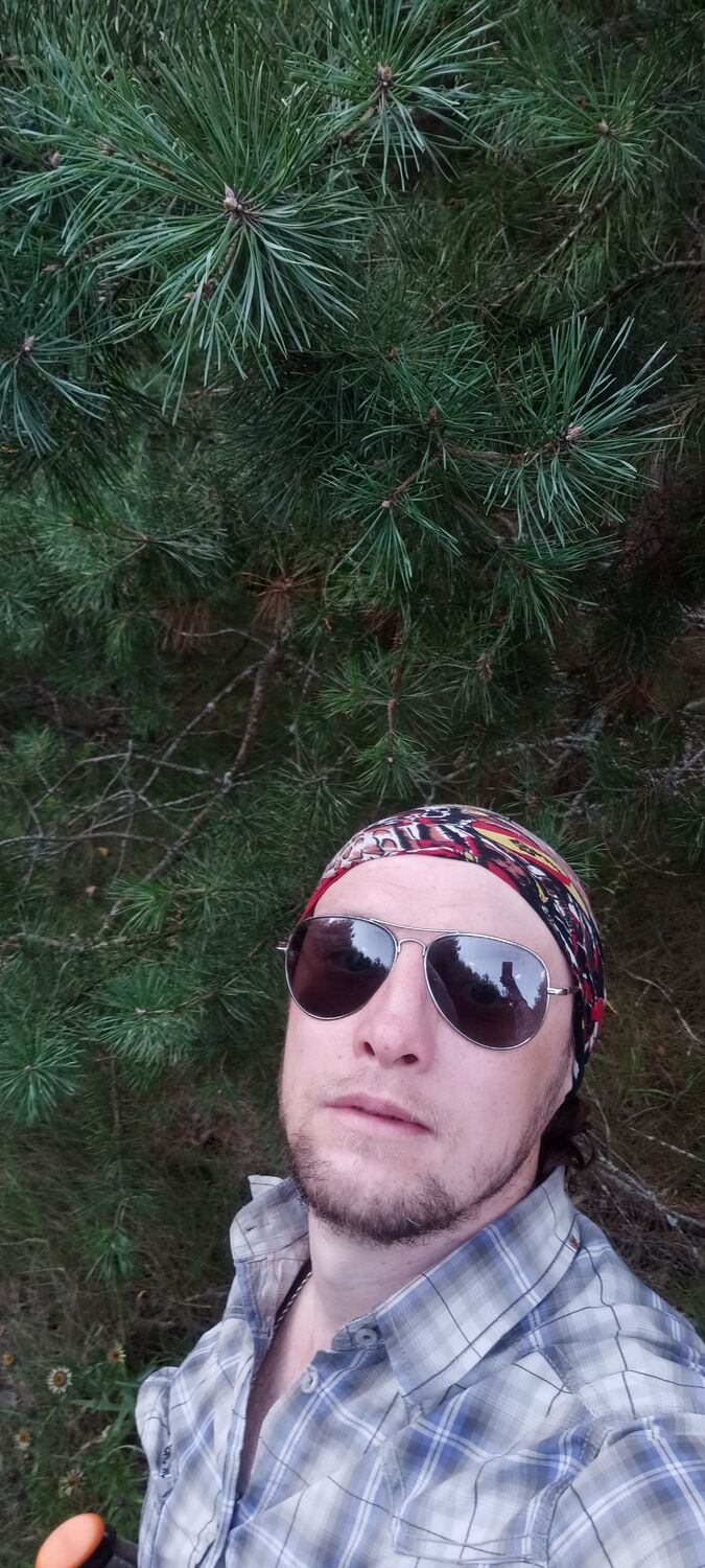 ���� 53126991 ������� Gerold, 99 ���, ���� ���������� � ���������