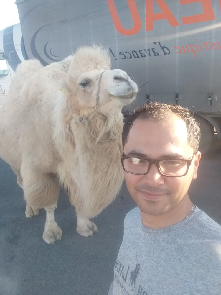 ���������� ������, ���� ������� ������, 36 ���, ������������ ��� ������, ����� � ���������, c�������� ���������, ���������