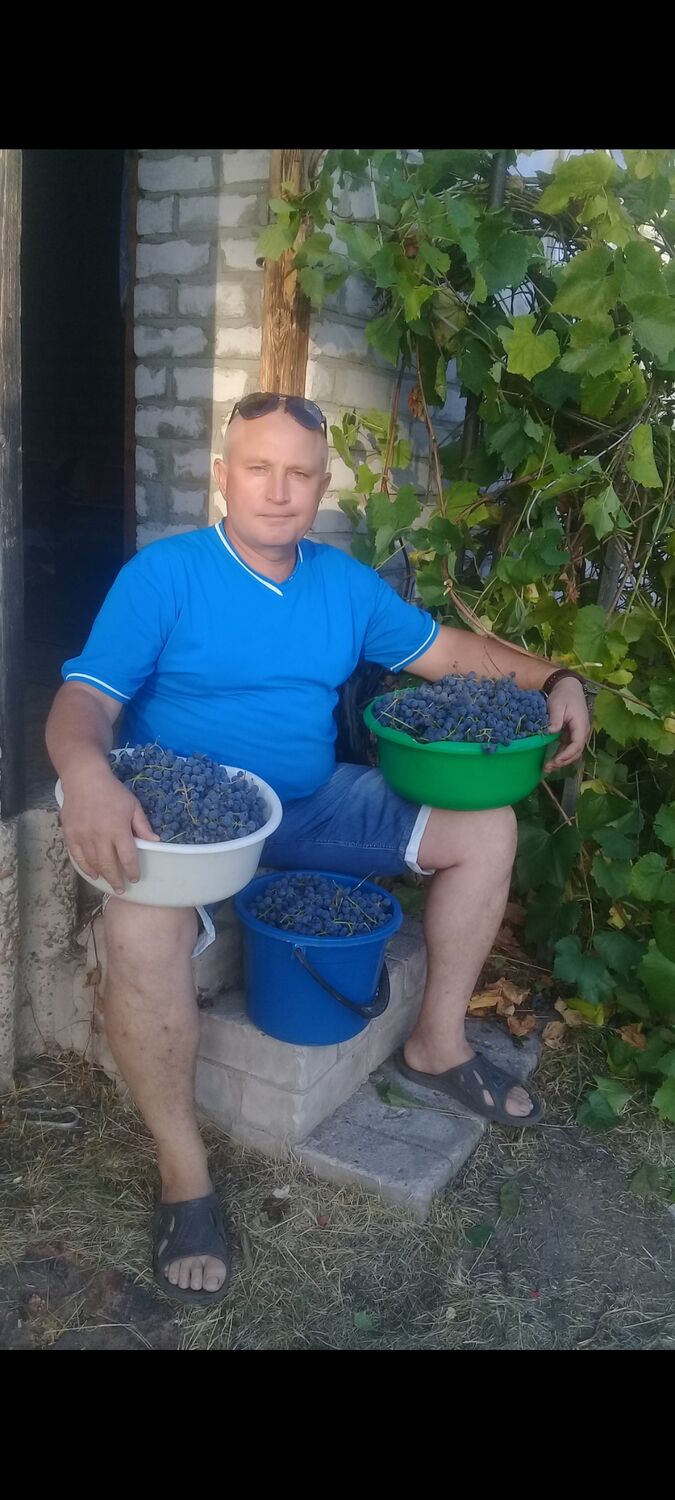 ���� 55701361 ������� �������, 54 ����, ���� ���������� � ������