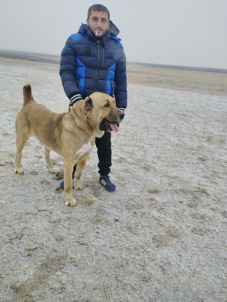  ,   Hrayr, 26 ,   ,   
