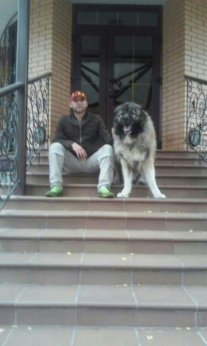  ,   Murat, 48 ,   ,   , c 