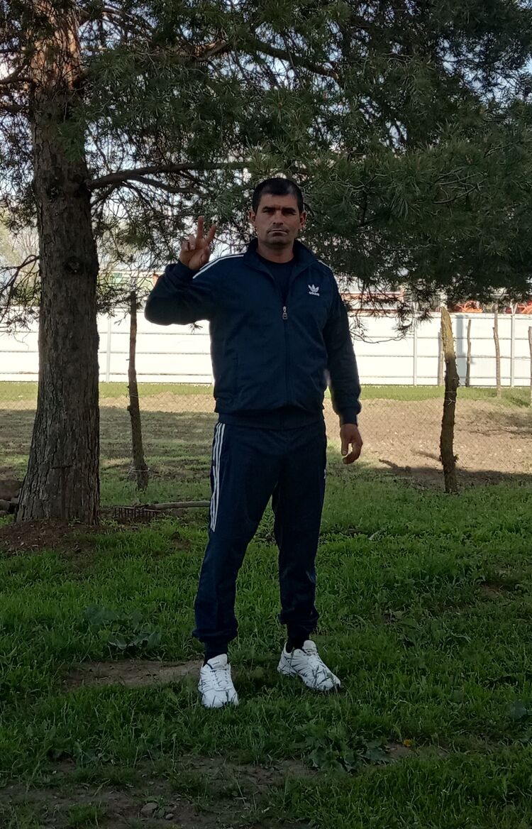  22876441  , 44 ,    