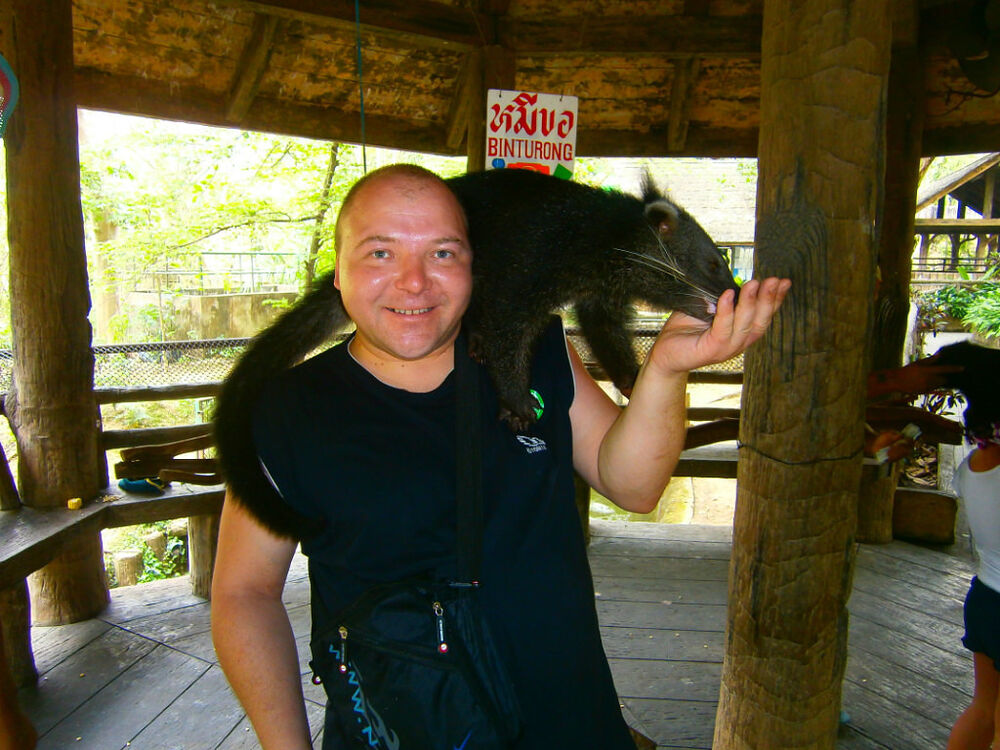 ���� 9605771 ������� ������, 46 ���, ���� ���������� � ��������