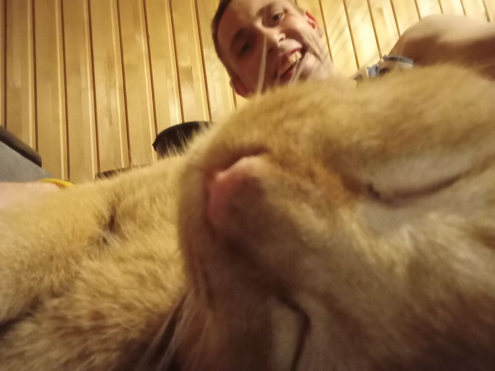 ���� 43618881 ������� ����, 27 ���, ���� ���������� � �������������