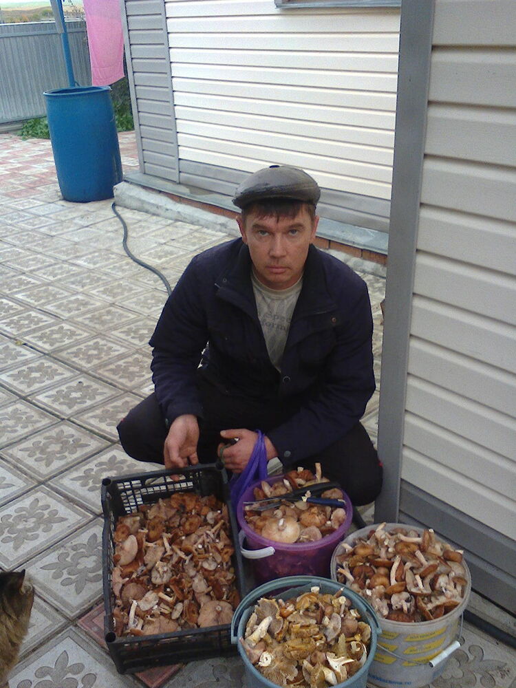 ���������� ���, ���� ������� �����, 48 ���, ������������ ��� c�������� ���������, ���������