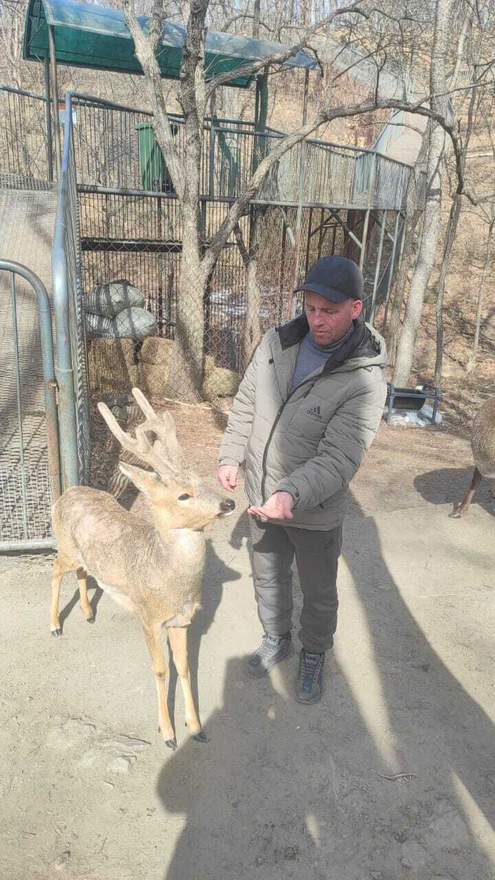  ,   , 43 ,   