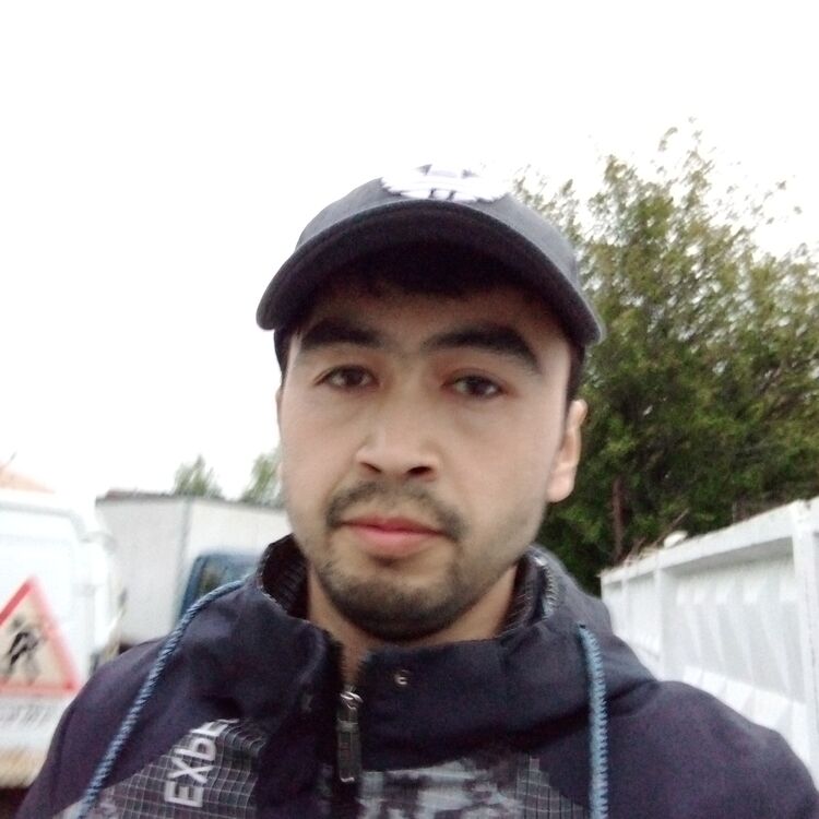  53822581  , 31 ,    