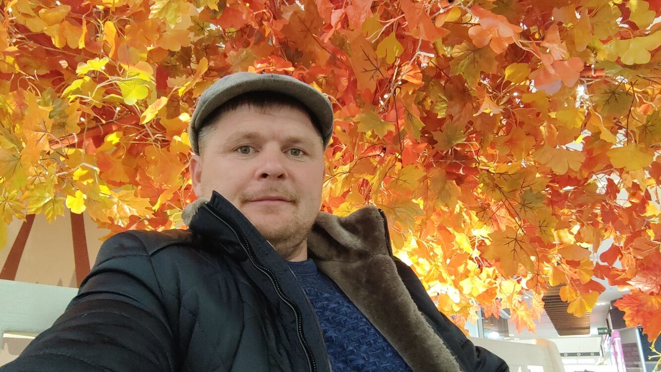 ���� 31226091 ������� ������, 42 ����, ���� ���������� � �����������