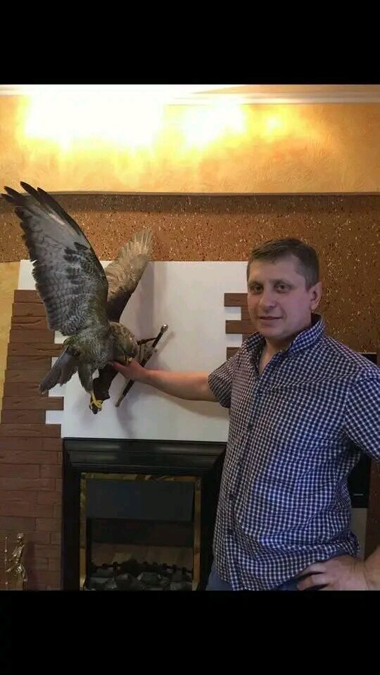 ���� 55937421 ������� ������, 51 ���, ���� ���������� � �����