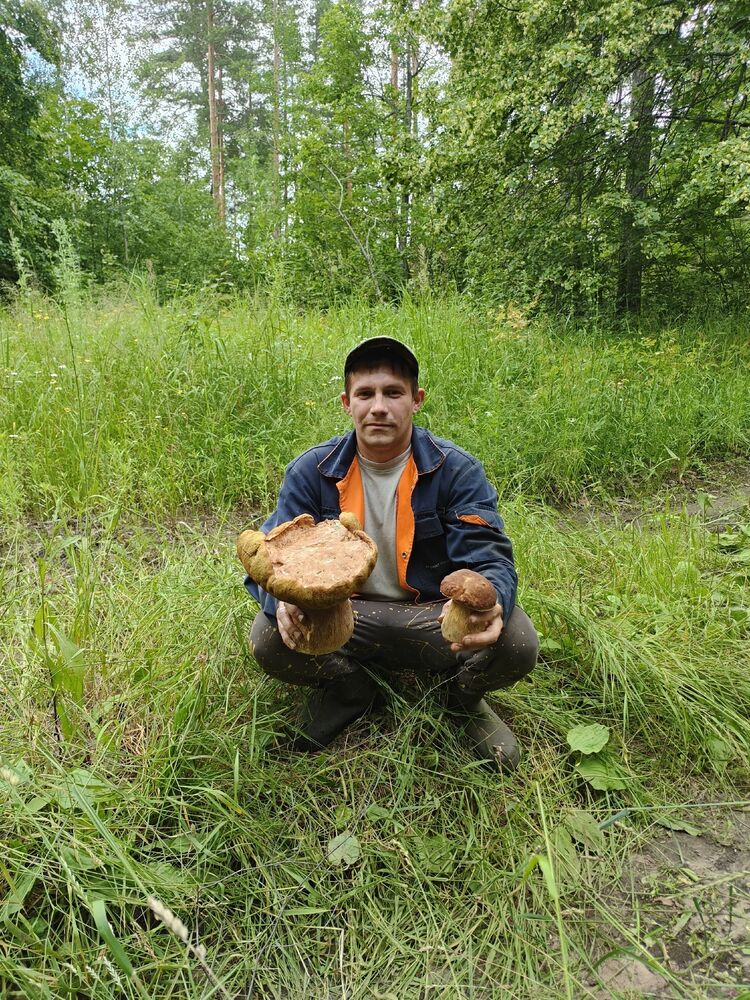 ���� 55233371 ������� �����, 27 ���, ���� ���������� � �������������