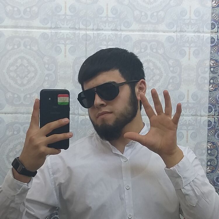 ���� 51182341 ����� ������, 24 ����, ���� ���������� � ����������