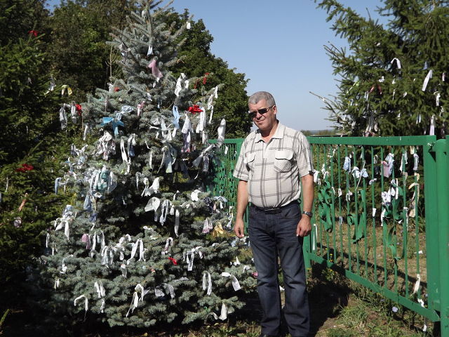 ���� 53714631 ������� ������, 68 ���, ���� ���������� � ������