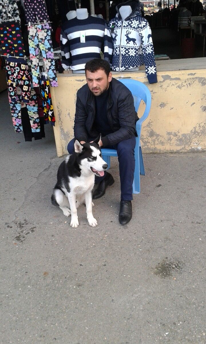 ���� 5278451 ������� Natiq, 39 ���, ���� ���������� � ����