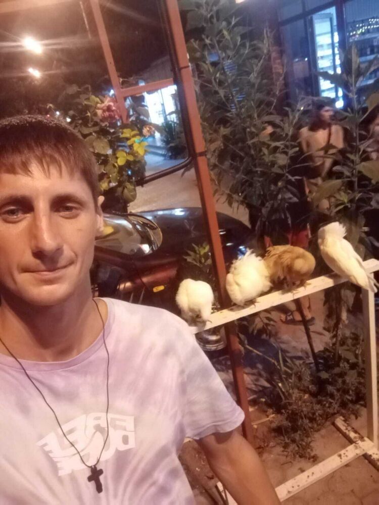 ���������� ������������, ���� ������� �����, 40 ���, ������������ ��� ������, ����� � ���������, c�������� ���������, ���������