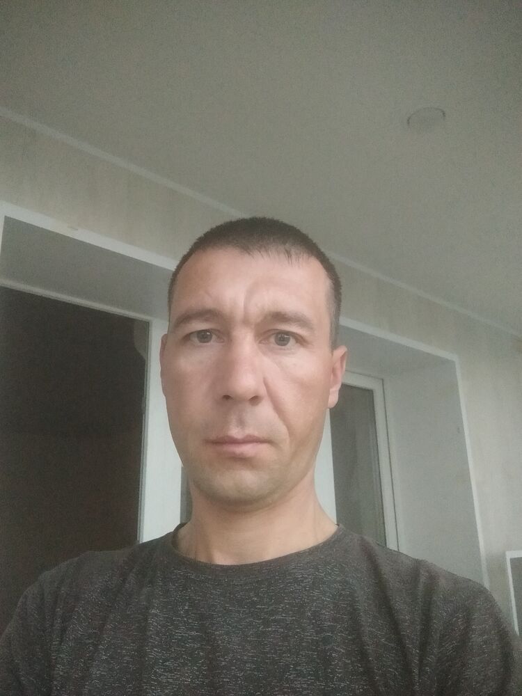  51075541  , 38 ,    
