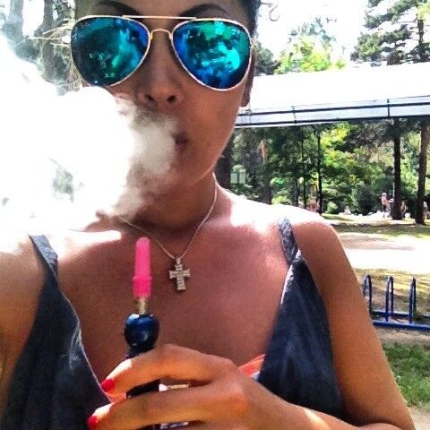 ���� 4446651 ������� ����, 33 ����, ���� ���������� � ������