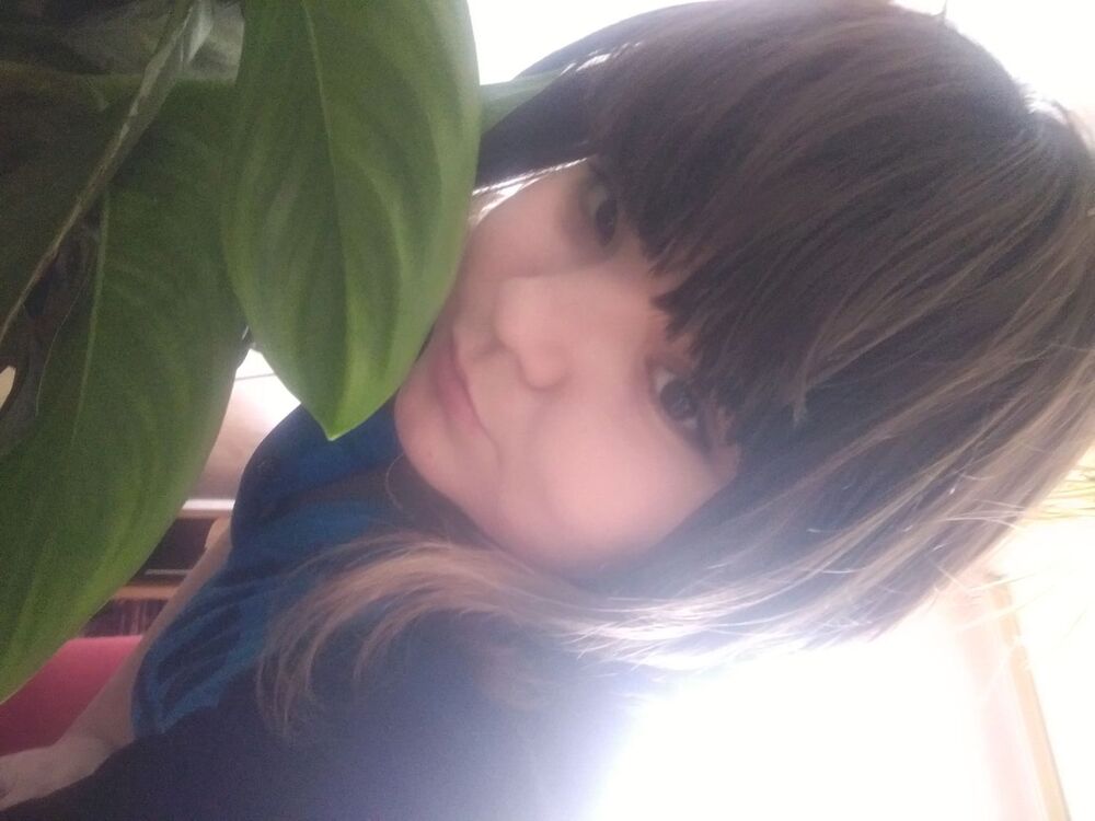  ,   , 29 ,     , c 