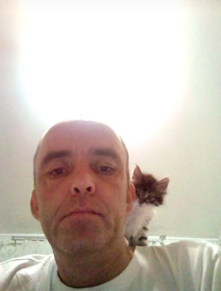 ���� 22275701 ������� ����, 45 ���, ���� ���������� � �����