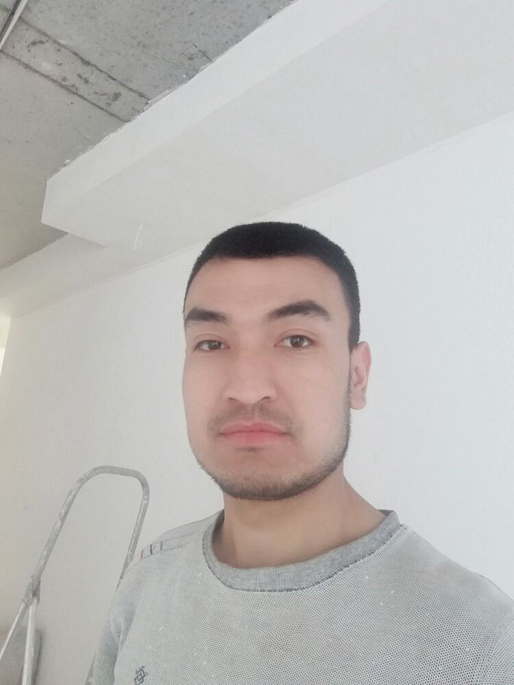  19557271  , 32 ,    