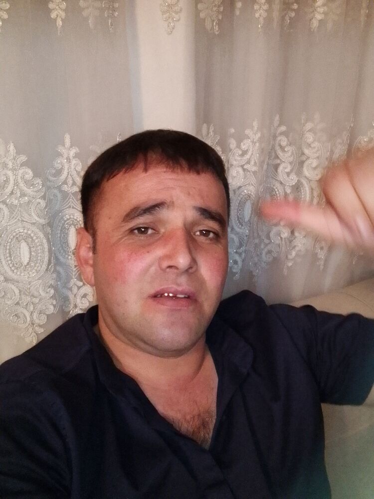  49451581  , 38 ,    