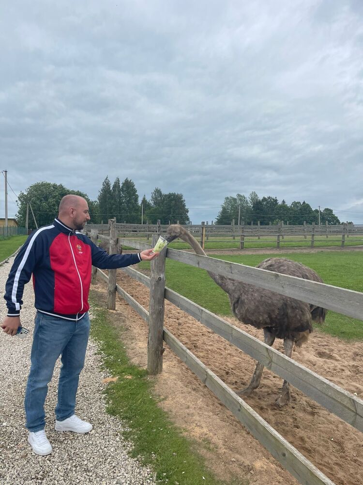 ���������� ����, ���� ������� ����������, 36 ���, ������������ ��� ������, ����� � ���������, c�������� ���������