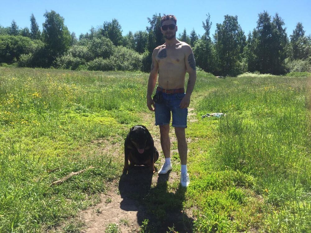 ���� 31130141 ������� ��������, 36 ���, ���� ���������� � �������