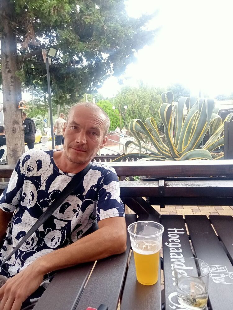  53529631  , 43 ,    