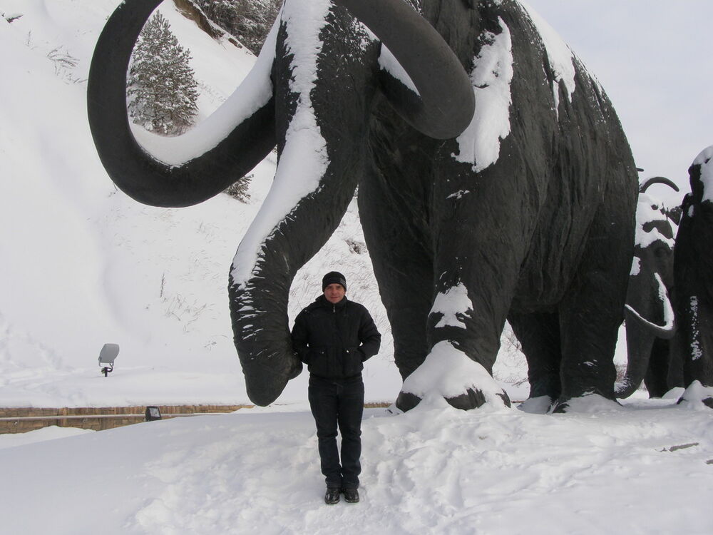 ���� 4165011 ������� �������, 44 ����, ���� ���������� � ������