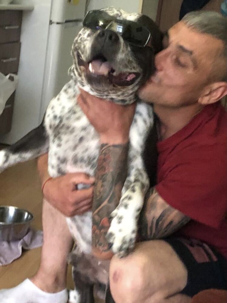  28473081  , 42 ,    -