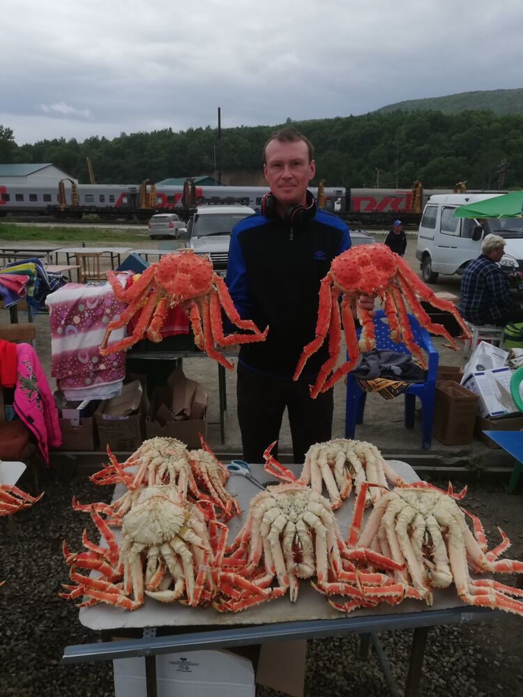 ���������� �����, ���� ������� �������, 46 ���, ������������ ��� c�������� ���������