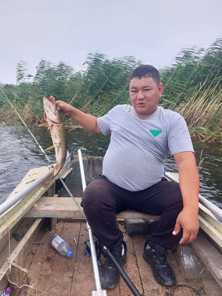 ���� 36997681 ������� �����, 37 ���, ���� ���������� � ���������