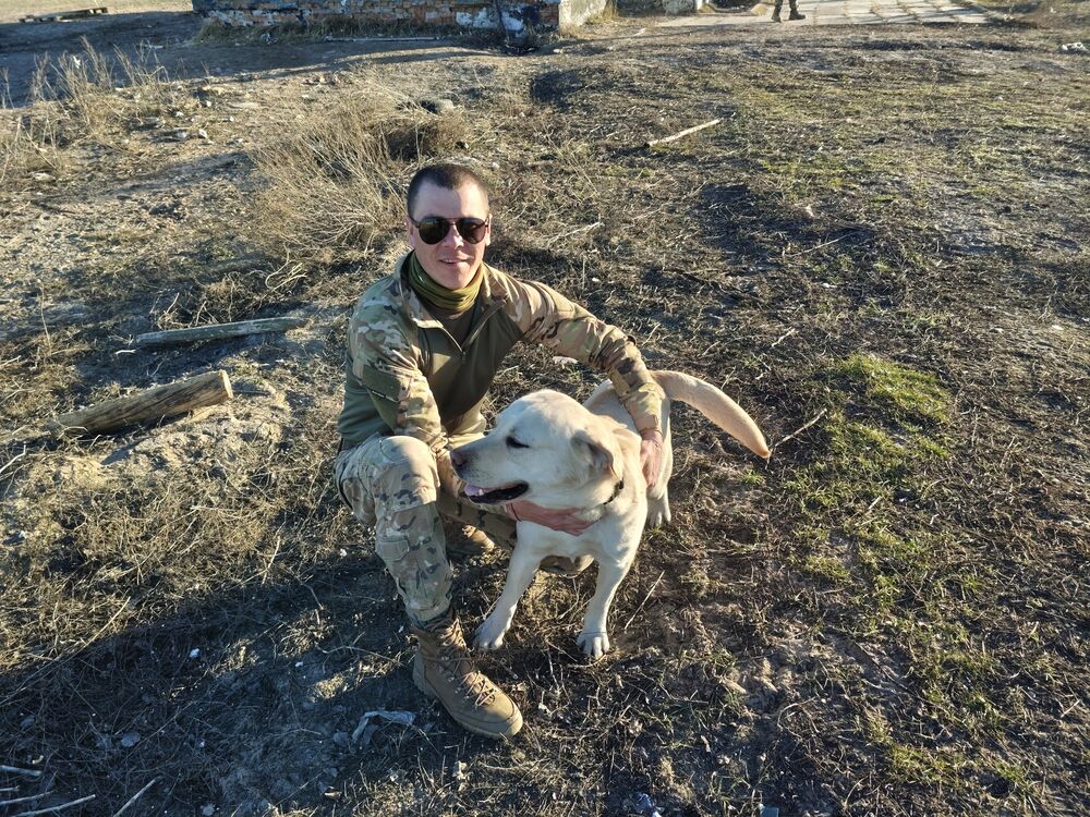 ���� 56129781 ������� ��������, 29 ���, ���� ���������� � ���������