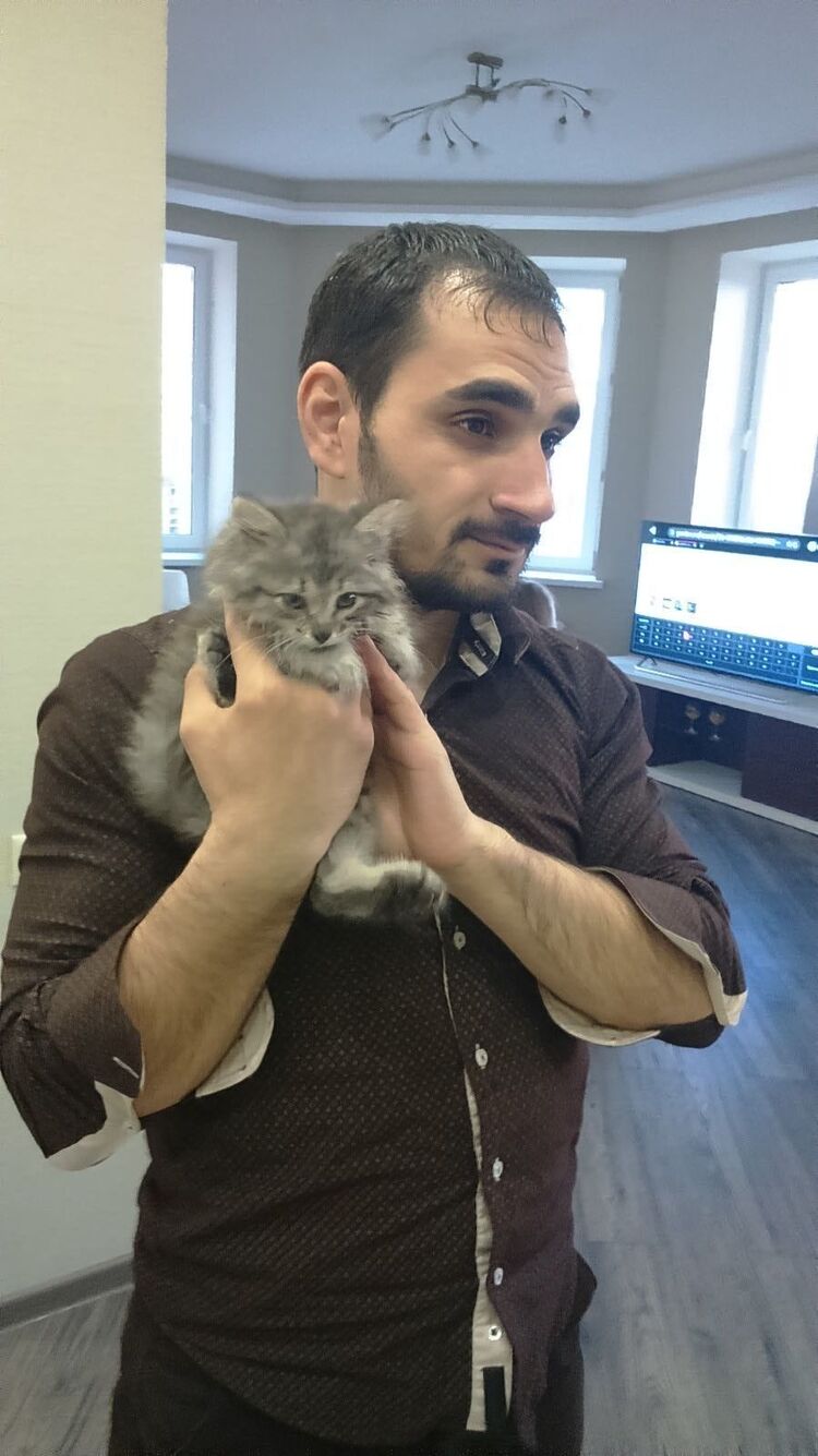 ���� 31116311 ������� Timirlan, 38 ���, ���� ���������� � ����������